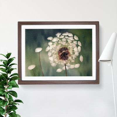 Fascinating Dandelion Flowers - Single Picture Frame Print