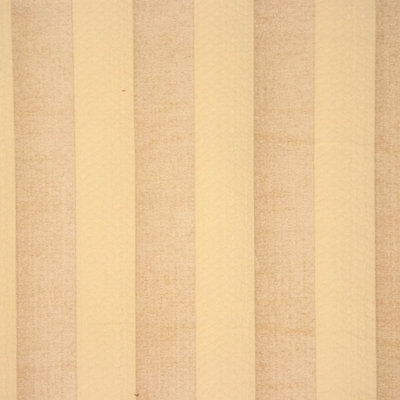Allure Fabric