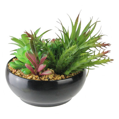 Arrangement de plantes grasses artificielles de 8 po dans un vase bol noir