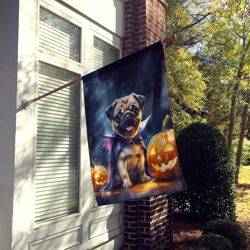 Drapeau de chiot Halloween House, Carlin