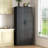 72" Heavy-Duty Metal Storage Cabinet with Lock - Black Garage Shelving Unit-1628600315-1644162978