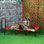 Elevated Dog Bed Cooling Raised Pet Cot for Indoor Outdoor Use XX Large