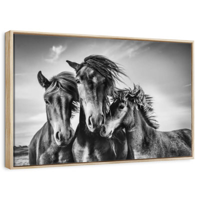 Chevaux Lemvig