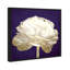 Violet violet, fleur de luxe - impression-72525452-72525451