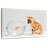 Pet Fish And Kitten-107887677