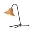 Lampe de table en métal Golightly