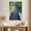 Eucalyptus Harnek Oahu Rainbow-108253820