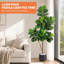 120cm Plant