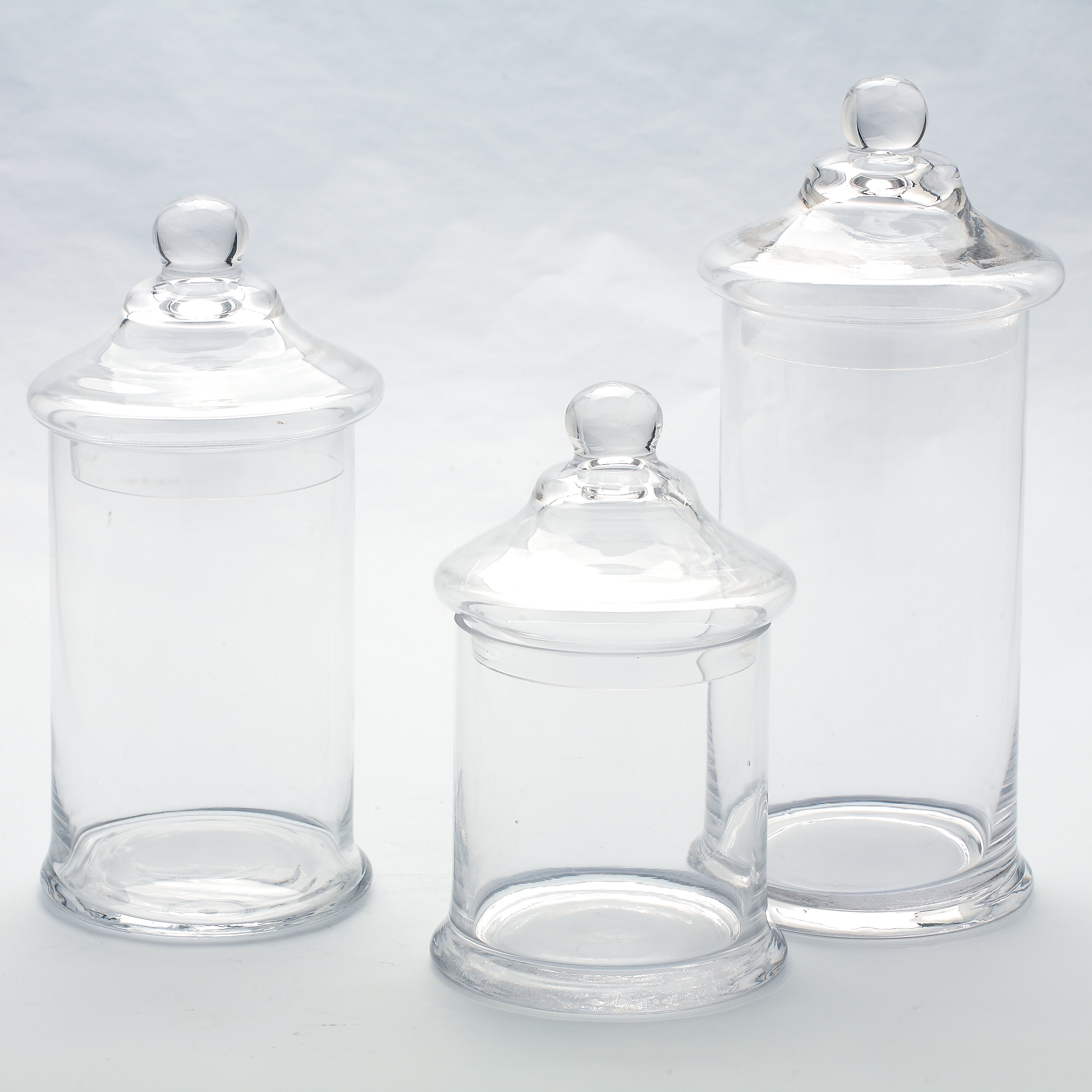 Red Barrel Studio® Arul Glass Apothecary Jar & Reviews - Wayfair Canada