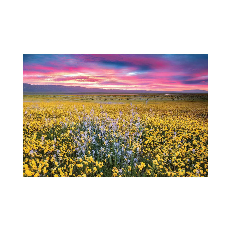 Flower Field Sunrise II by Dennis Frates - Print on Canvas, Wrapped Canvas, 66.04cm H x 101.6cm W x 3.81cm D