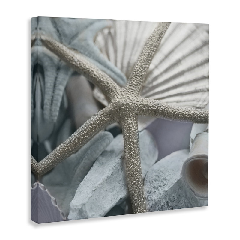 Coquillage et étoile de mer, art mural par Susan Bryant, H 30 po x l 30 po