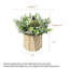 Plantes artificielles - joie de citrouille vivace
