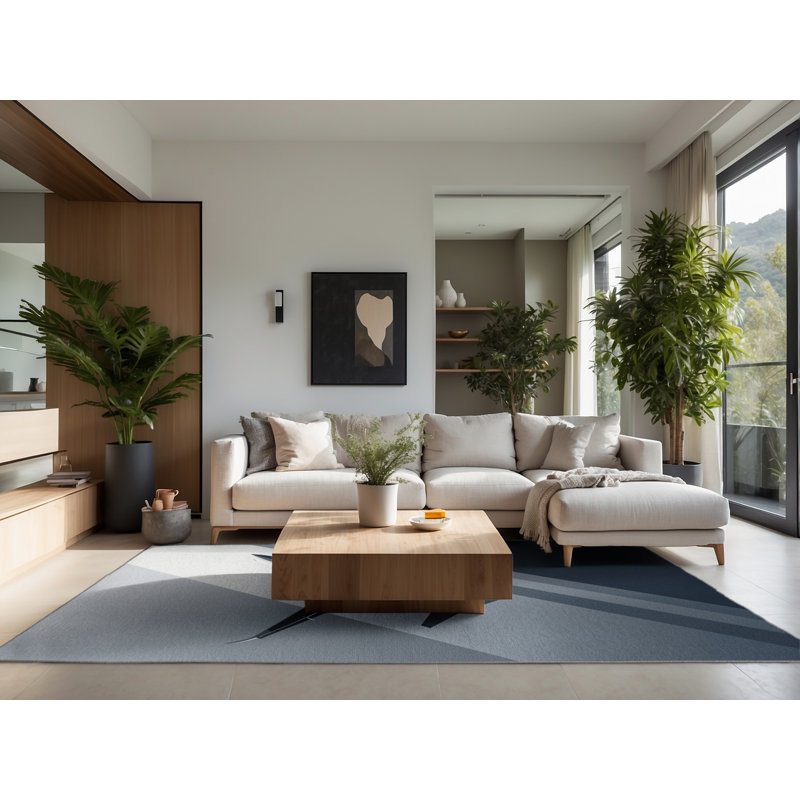 Soft Plush Eger Modern Commercial Jet Modern & Contemporary Area Rug in Gray – Gray Binding, 6x9