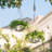 Boxdale Hanging Planter-26906937-26906938