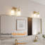 Torbett 2-light bathroom fixture-664169814