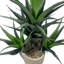 Anlin 110cm Faux Yucca Tree in Pot