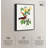 Art Remedy Botanical Prints Canvas, Ruby Voucherelle-111164017-111164023-111164044