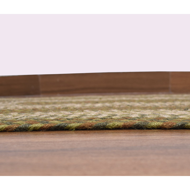 Bryiana Farmhouse Braided Jute Green Area Rug, Rectangle 3' x 5'