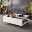 Table basse avec rangement Caswell