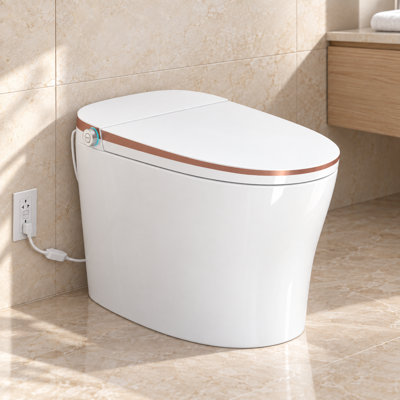12 in. Rough-In Smart Toilet with Auto Lid, Bidet Wash and Heated Seat