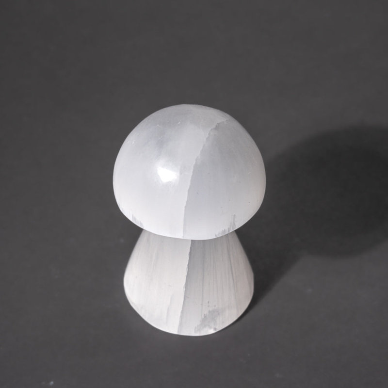 Véritable champignon Reiki en cristal de sélénite poli véritable (grand)