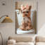 Mignonne Yorkie sur la toile -638360673-638360672