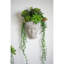 Petit vase mural Visage Cement