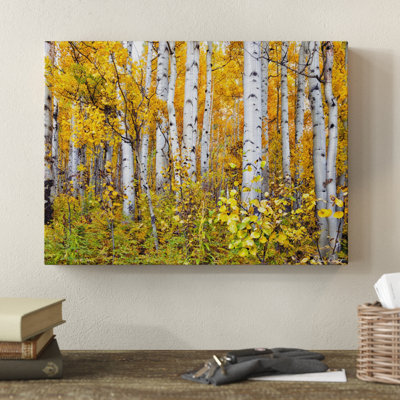 Yellow Woods IV by David Drost - Print on Canvas