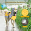 Taille de L pliable pour chien-97788911