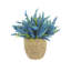 Heather in Strawgrass Pot-1961168769