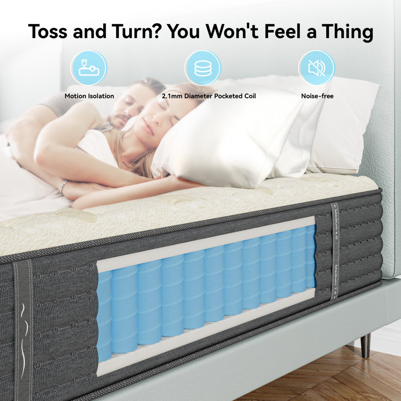 Alwyn Home 12''/14" Anti Static Two-sided Hybrid Medium Gel Memory Cashmere Wool Foam Mattress with Bamboo Charcoal Adsorption–CertiPUR-US, OEKO-TEX, SGS Certified