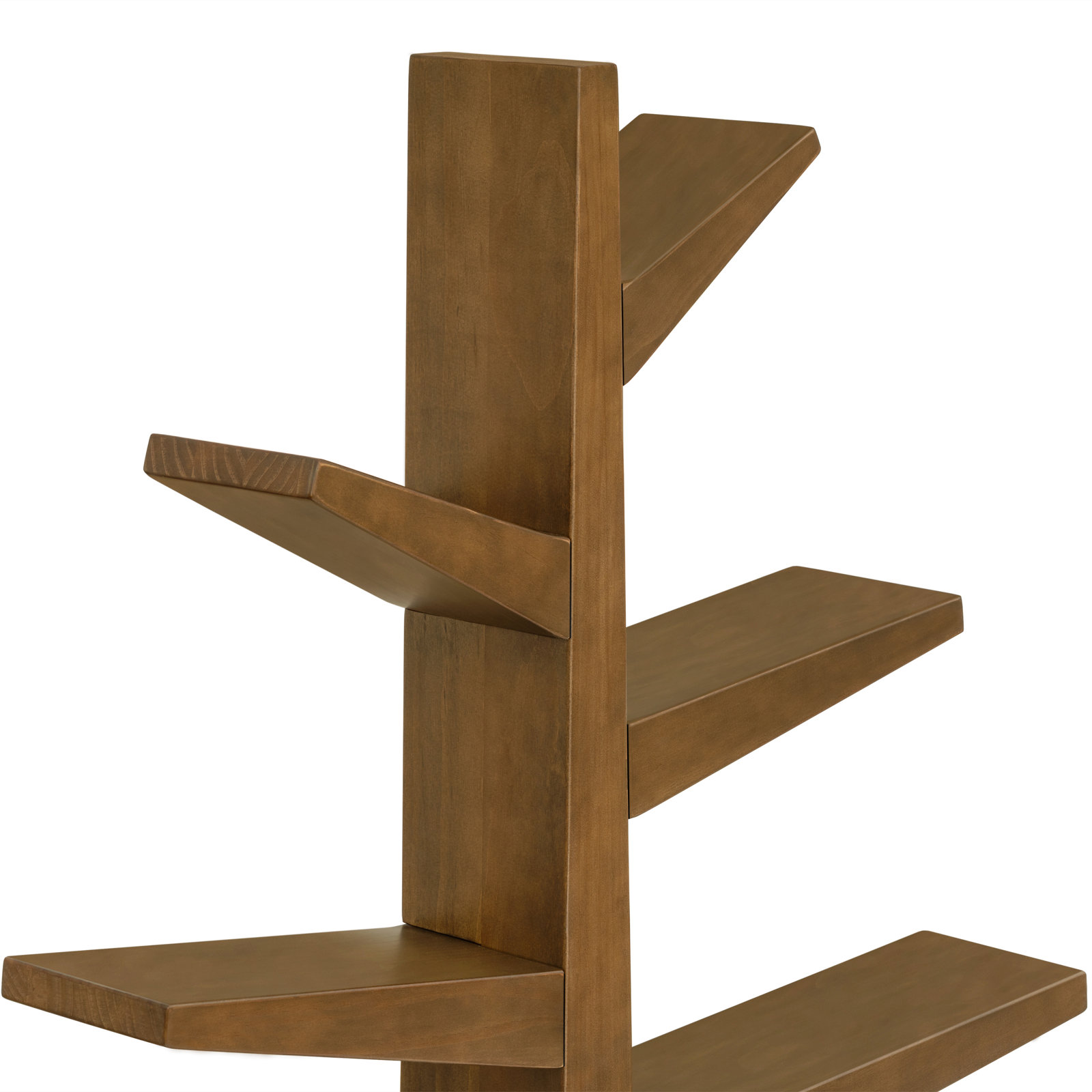 Spruce Tree Bookcase, Natural Walnut