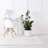 Fragos Indoor Rug-914239168