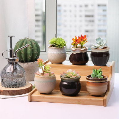 Mini pots de plantes grasses en céramique avec drainage, ensemble de 6