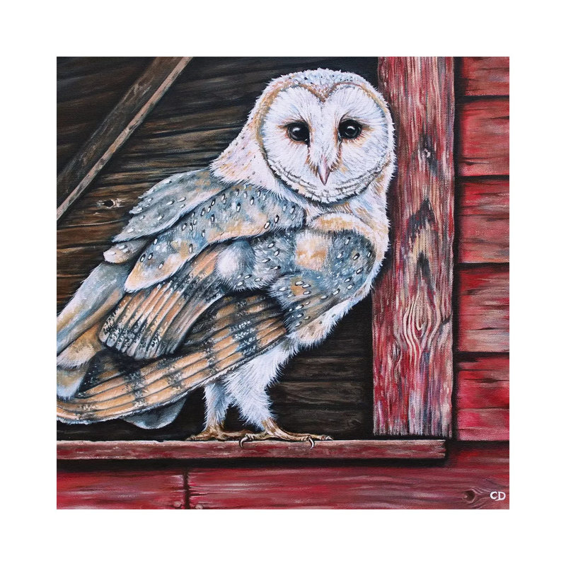 Barn Owl by Cyndi Dodes - Wrapped Canvas Gallery-Wrapped Canvas Giclée, 30.48 cm H x 30.48 cm W