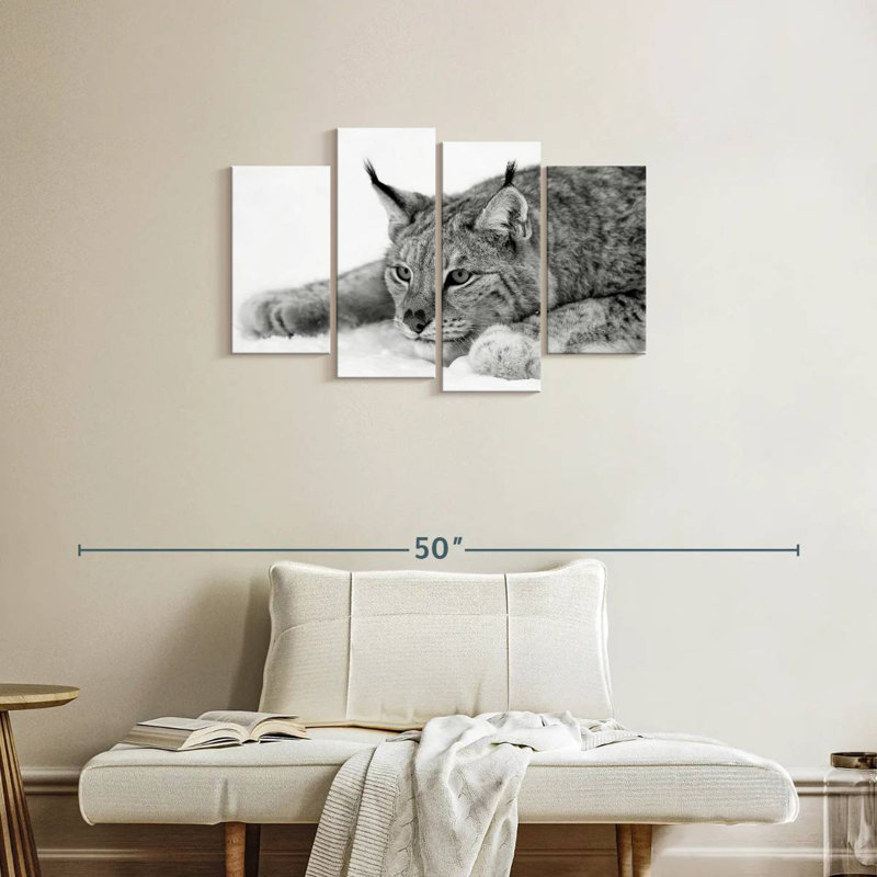Brampt Lynx BW, 22" H x 36" W