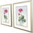 Soft Geranium Framed Art