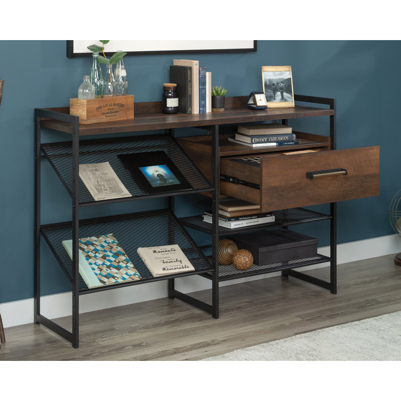 Prochaska Storage Bookcase