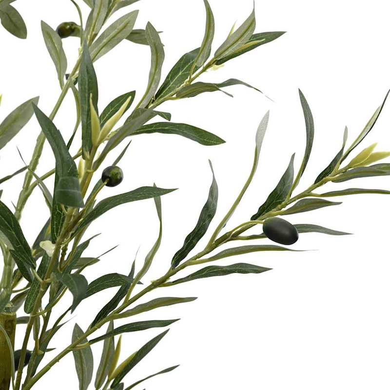 200cm Plant