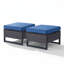 Repose-pieds de patio extérieur en osier avec coussin Ingvald (ensemble de 2)-1619251986-1626738551