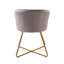48cm H Velvet Upholstered Armchair-2041323243