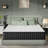 10/12 Inch Memory Foam Mattress, Charcoal-Infused, Low Motion Isolation, CertiPUR-US Certified, Breathable & Pressure-Relieving Sleep Comfort-458021297-458021298