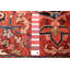 Tapis rouge Sarabi 7 pi 7 po x 10 pi 11 po