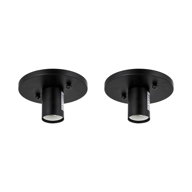 Aadaya Flush Mount