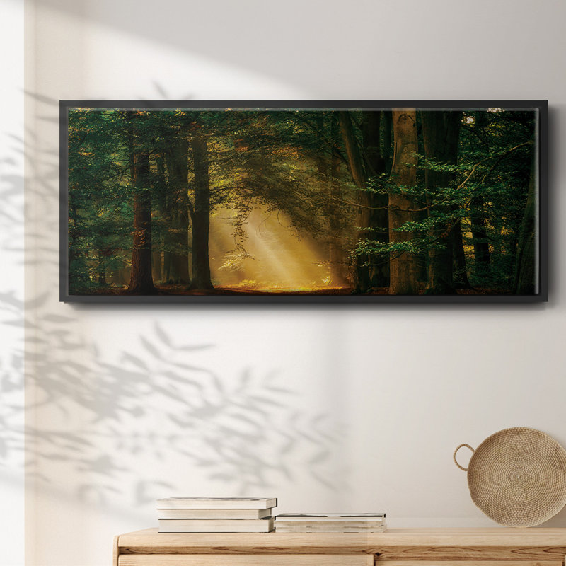«Shine On», toile encadrée, H 20 po x l 50 po