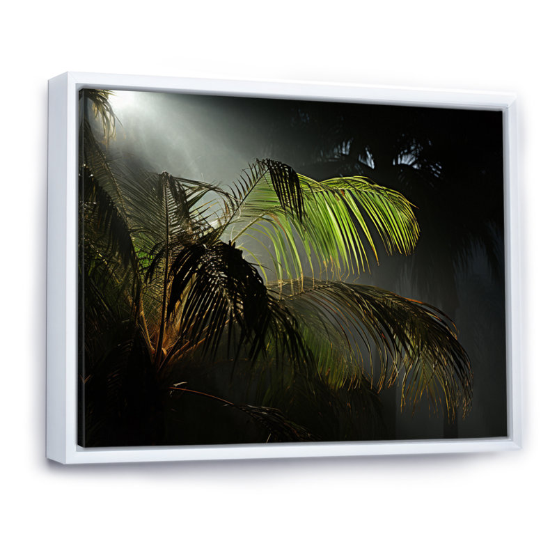«Palm Trees Palm II», reproduction sur toile, H 16 po x l 32 po x P 1 po, Cadre flottant blanc