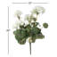 Polyethylene (PE) Geranium Arrangement