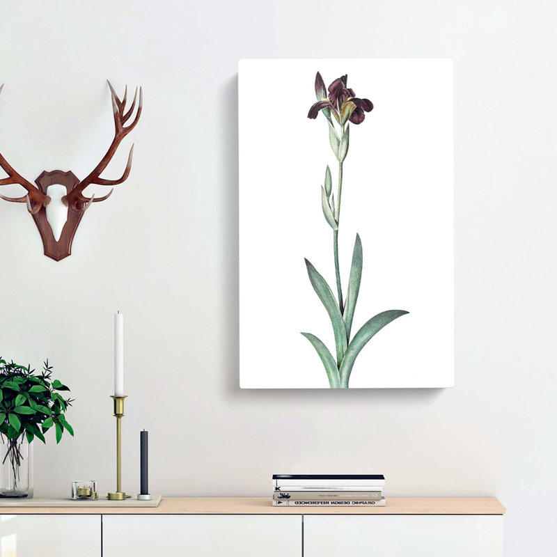 Flag Iris Flower by Pierre-Joseph Redoute - Wrapped Canvas, 76cm H x 50cm W x 3cm D
