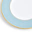 Helia 8.9in Accent Plate