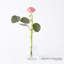 Clear Ring Flower Vase